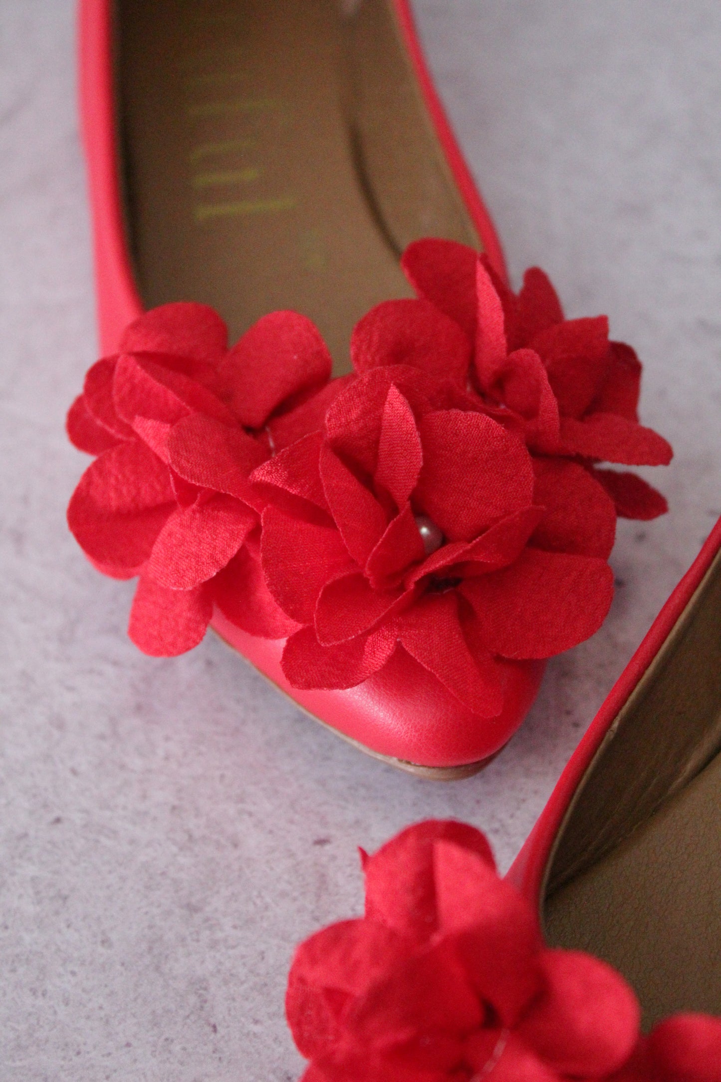 THE ROUGE